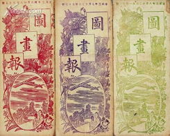 《圖畫(huà)報(bào)》存十二期 見(jiàn)證中國(guó)書(shū)店二〇〇九年春季書(shū)刊資料拍賣會(huì)